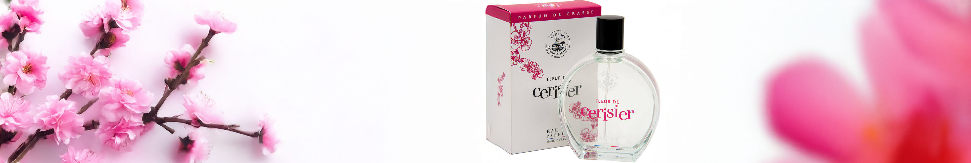 Cherry Blossom Fragrance