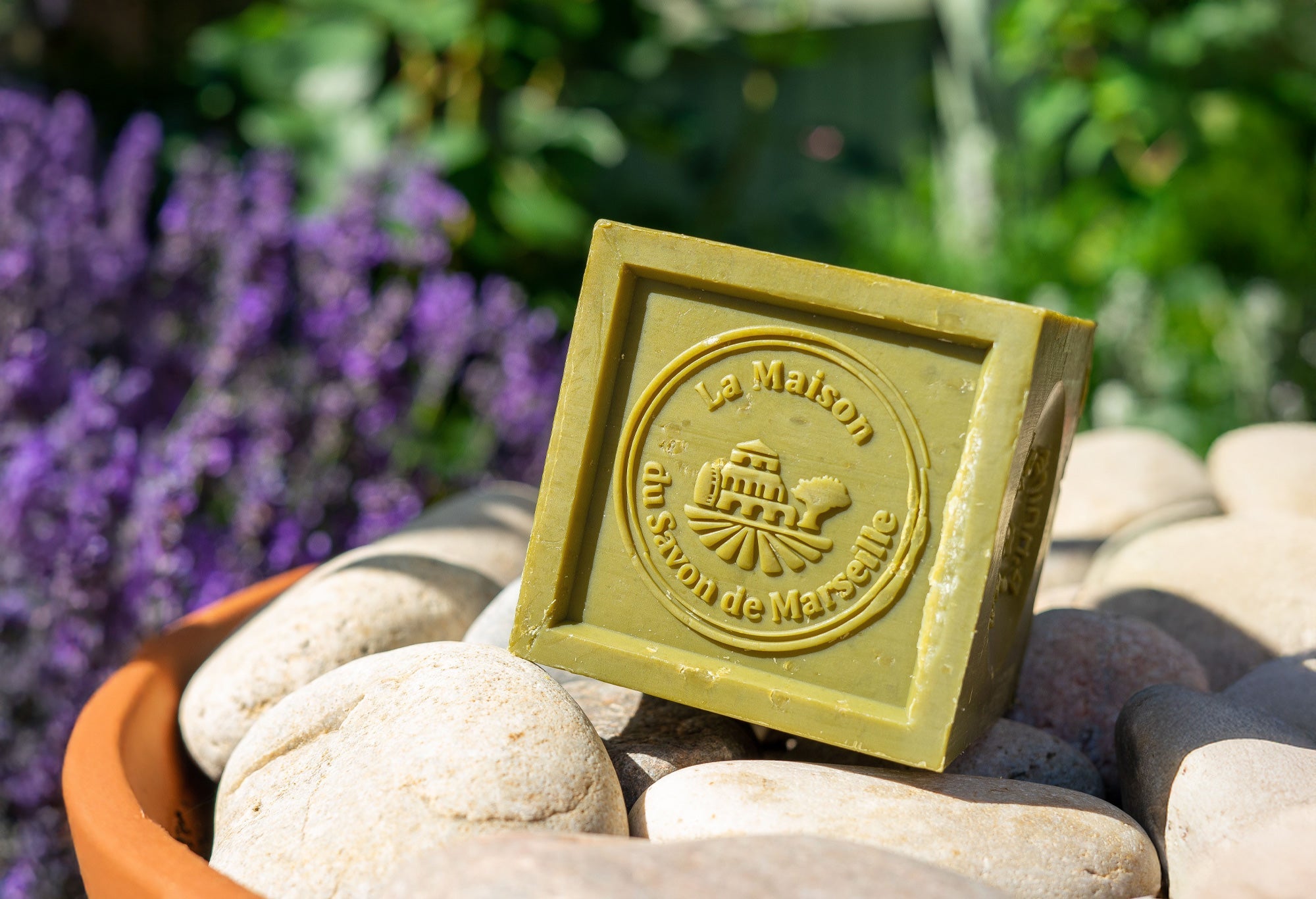 Soap Cubes and Slices