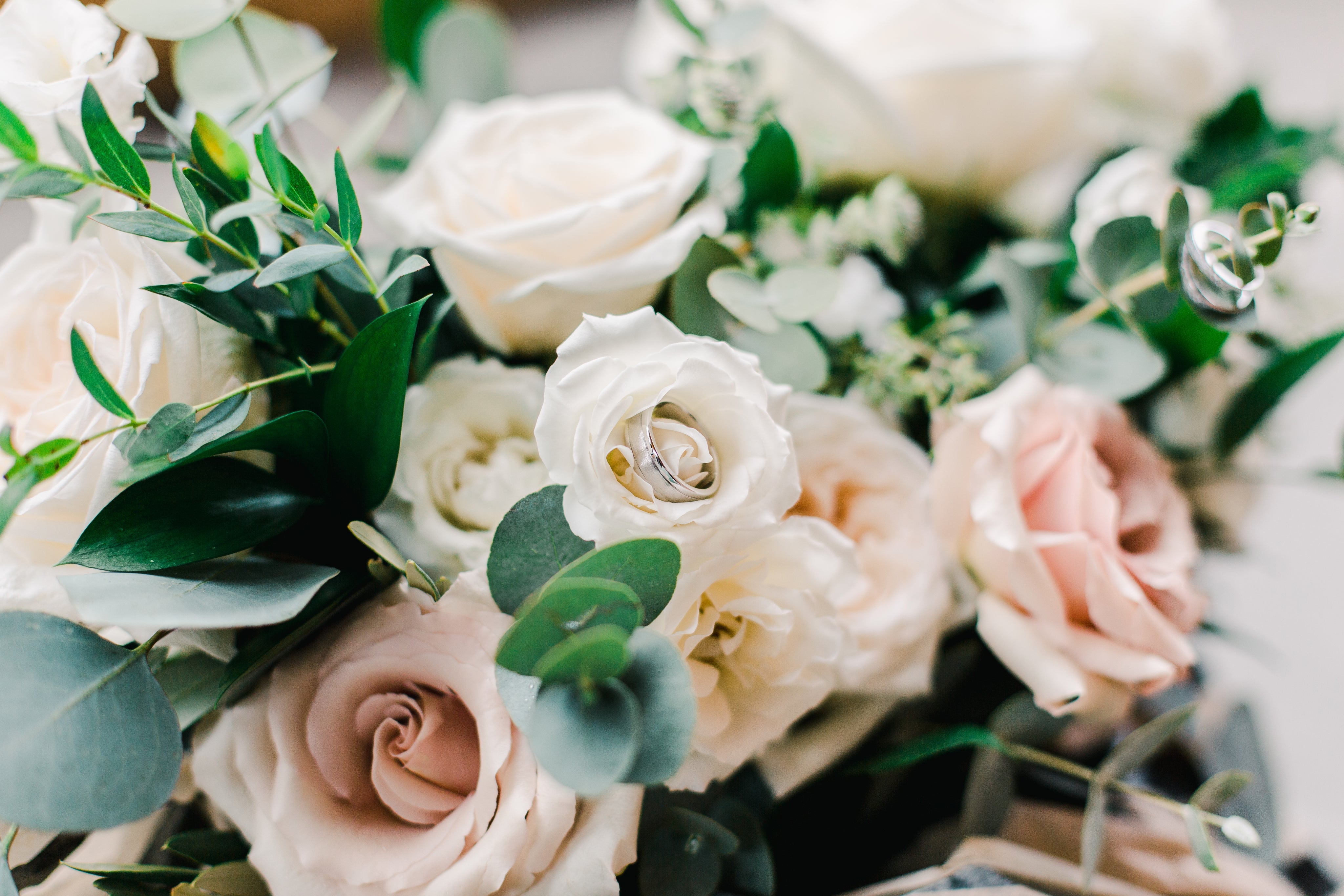 Rose Fragrance