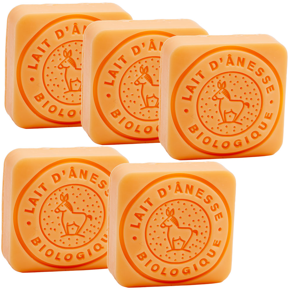 French Donkey Milk Soap, Melon Fragrance, Set of 5, 30g