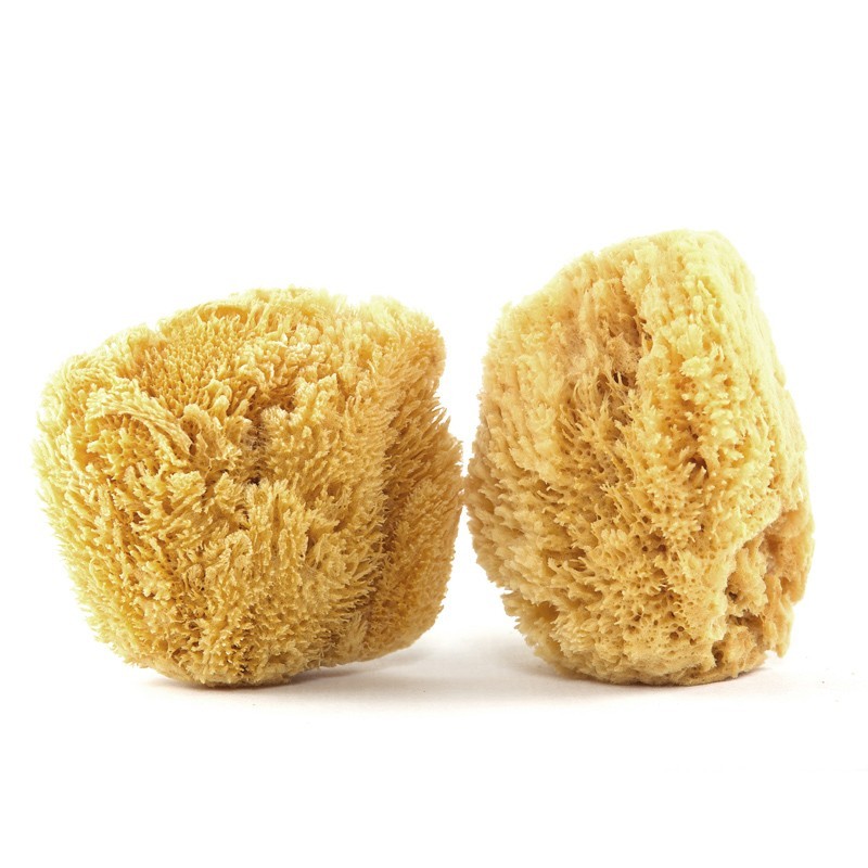 Natural Mediterranean Sea Sponge, Body Exfoliator, 12cm